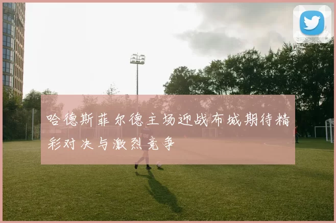 哈德斯菲尔德主场迎战布城期待精彩对决与激烈竞争
